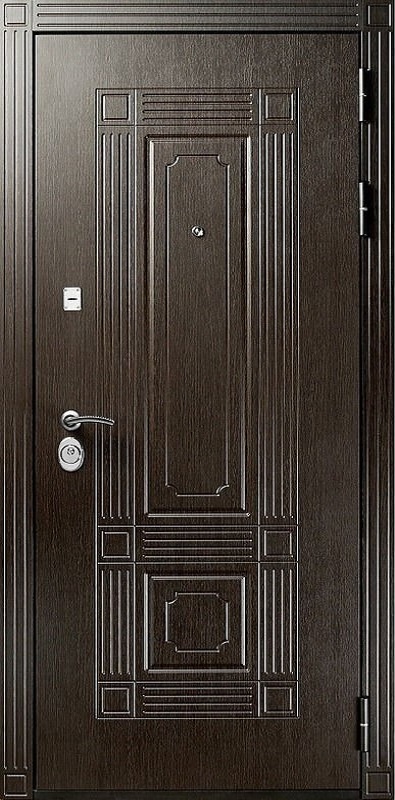 фото двери спереди