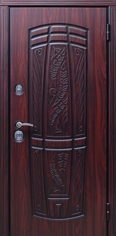 фото двери спереди